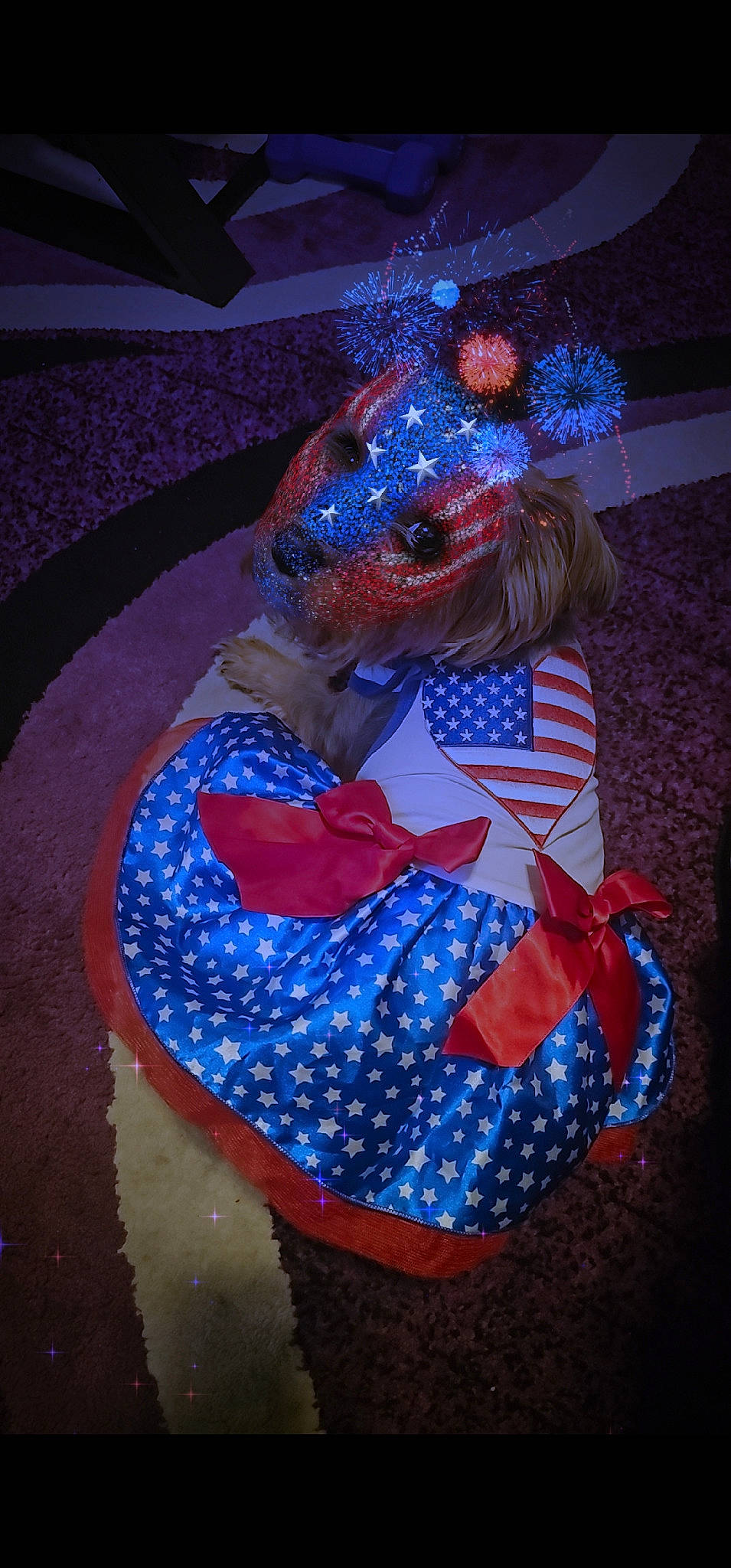 Diamond joined the competition — help win amazing prizes! art, blue, carmine, costume, costume_design, electric_blue, entertainment, event, fashion_accessory, fashion_design, fun, hat, organism, pattern, performance, performance_art, performing_arts, public_event, purple, tradition