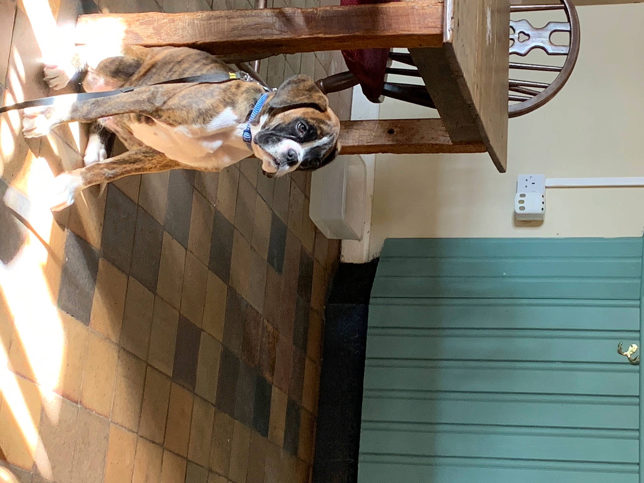 Gary joined the competition — help win amazing prizes! art, beam, building, ceiling, daylighting, facade, flooring, hardwood, house, metal, room, sculpture, statue, wheel, window, wood