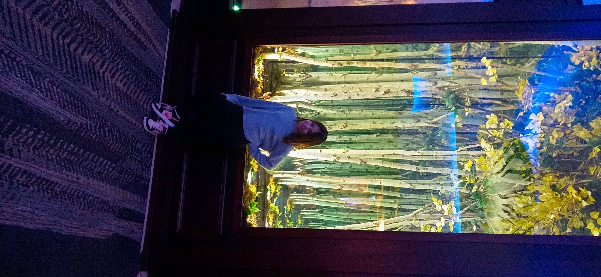 Mya joined the competition — help win amazing prizes! art, darkness, daylighting, display_device, electric_blue, facade, glass, hat, joy, magenta, person, plant, purple, rectangle, reflection, sky, tints_and_shades, transparent_material, tree, visual_arts