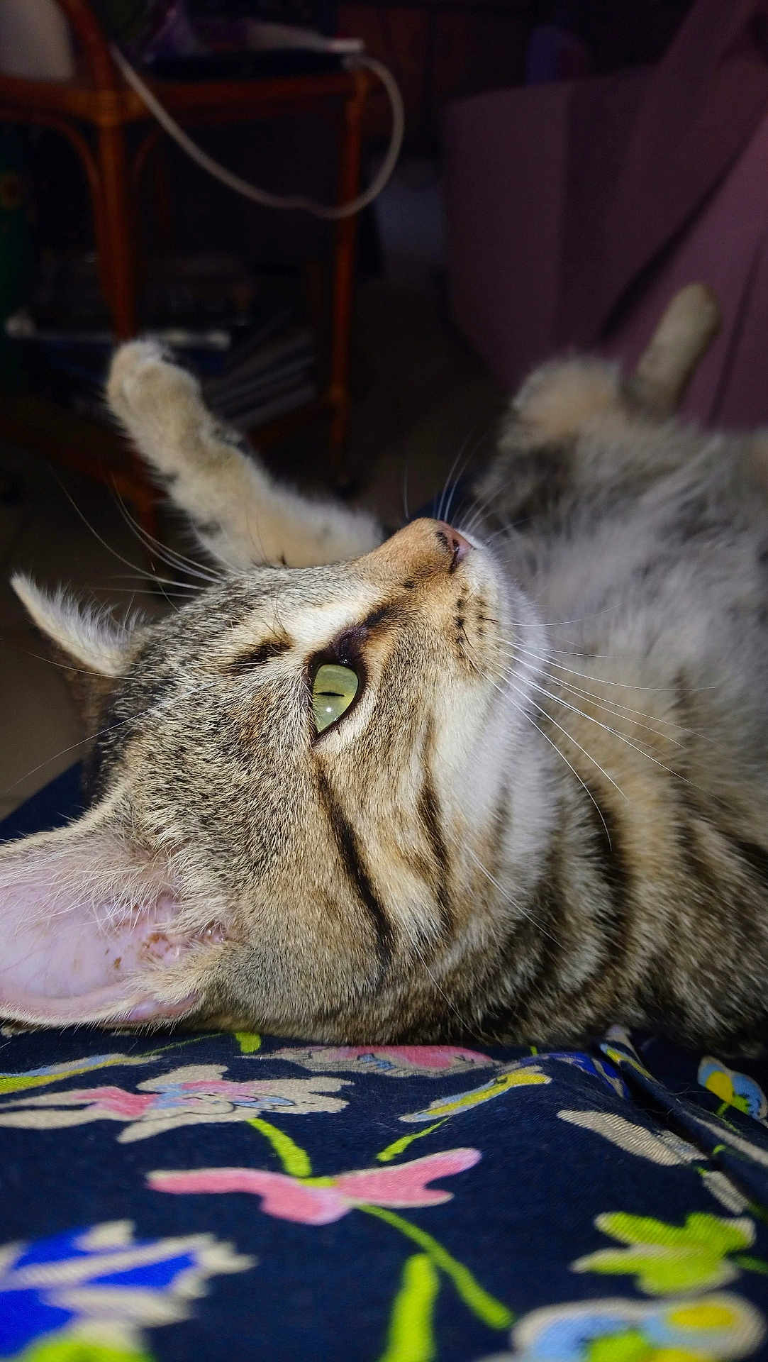 Oscar