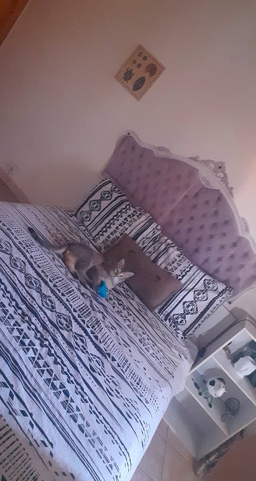 Yoda participe au concours pour gagner de l'argent avec cette photo : architecture, banknote, bed_sheet, cash, currency, material_property, money, newsprint, paper, paper_product, room