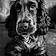 Achille