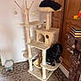 dog, cat_tree, indoor, wooden_door, books, marble_surface, tiled_floor, pet, black_dog, furniture, cozy, home, animal, resting, multi_level, platform, decor, living_room, comfort, household