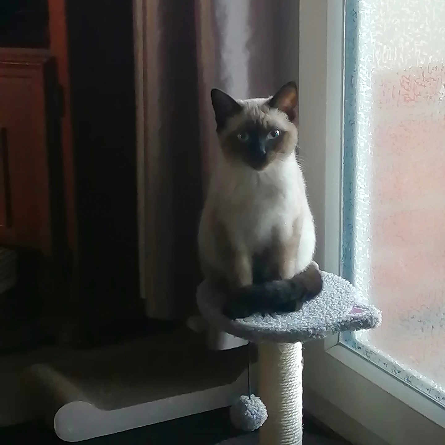 Suko