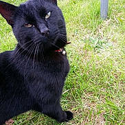 Sooty joined the competition — help win amazing prizes!