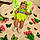 Abbie Grace