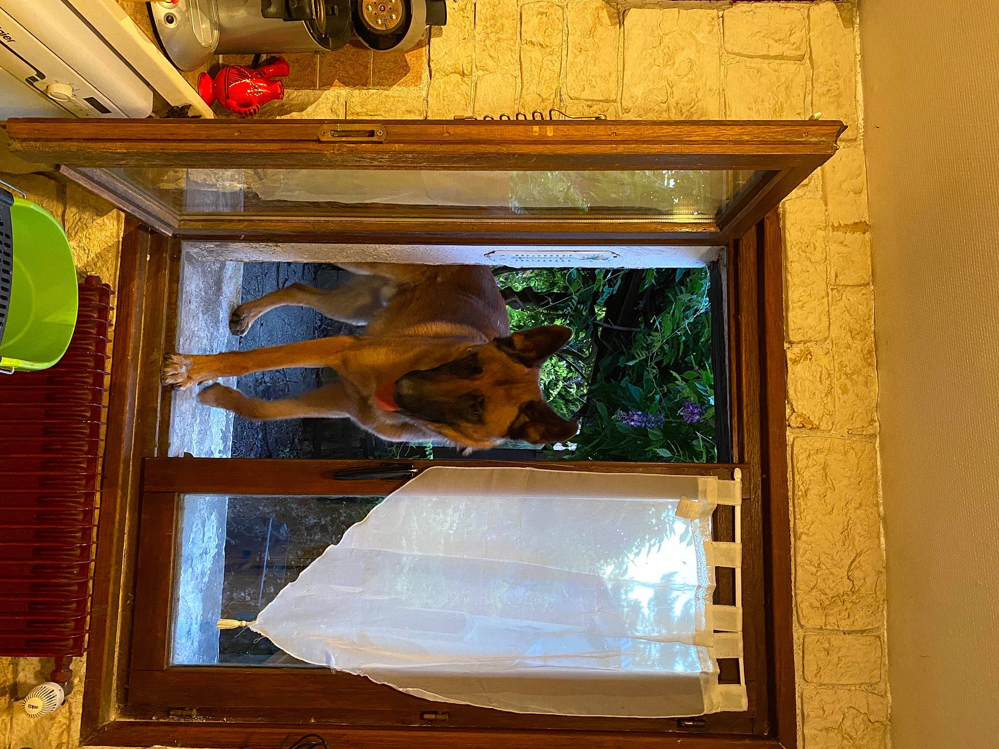 Chase participe au concours pour gagner de l'argent avec cette photo : art, building, display_case, door, fixture, glass, hardwood, hat, heat, house, rectangle, room, sash_window, shade, tints_and_shades, transparent_material, vertebrate, window, wood, wood_stain