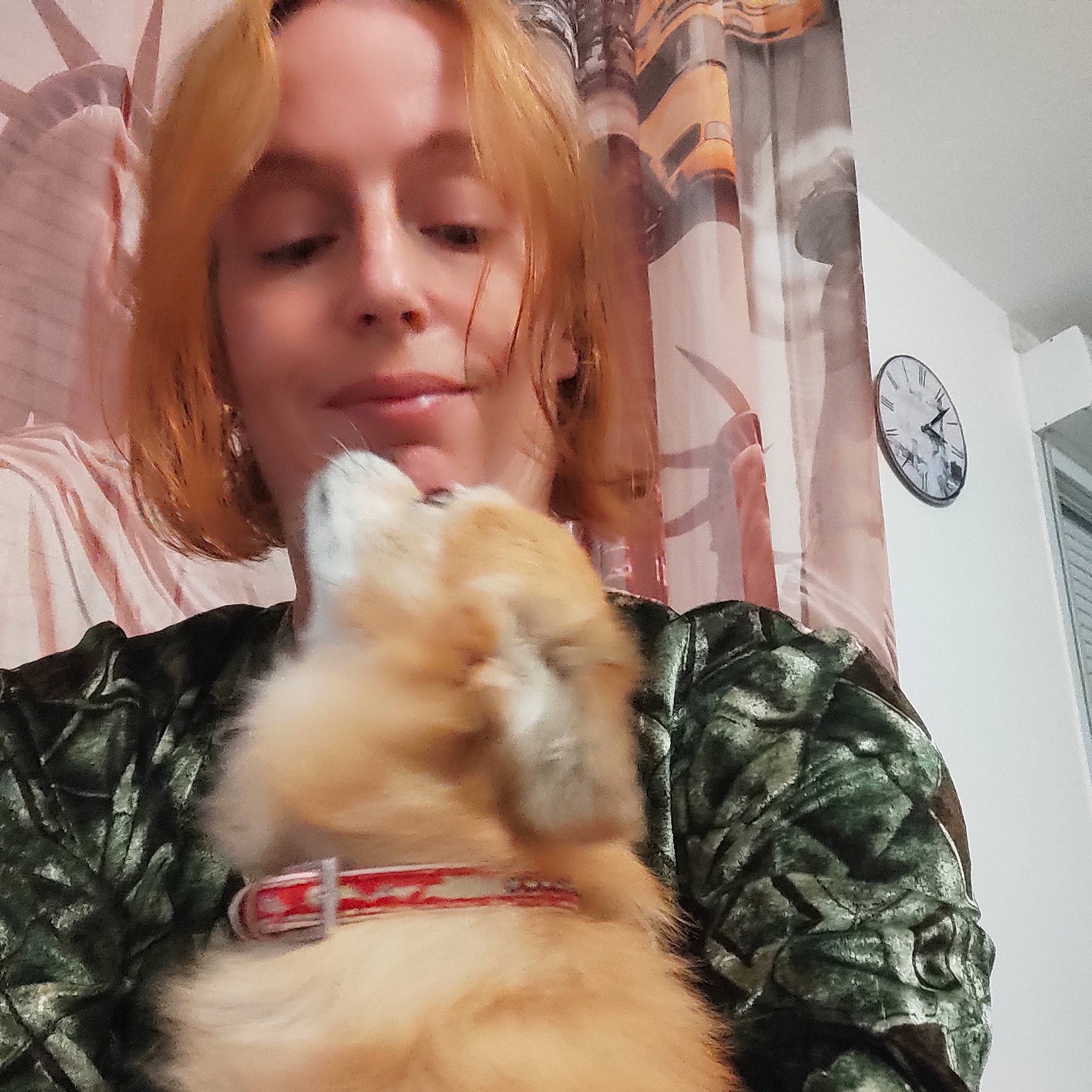 Princesse a rejoint le concours — aidez-le/la à gagner de superbes lots ! black_hair, carnivore, companion_dog, cool, dog, dog_breed, eyelash, eyewear, fawn, fur_clothing, hair, hand, happy, head, long_hair, mouth, selfie, skin, smile, toy