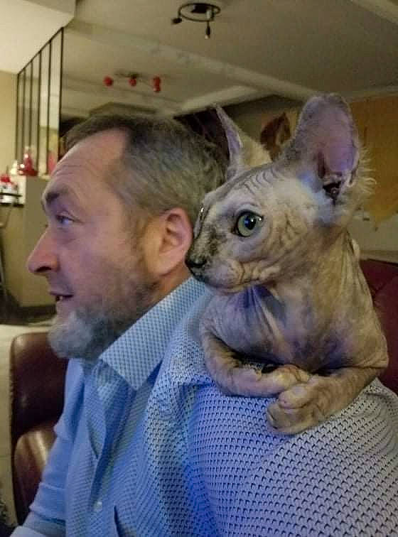 Isis a rejoint le concours — aidez-le/la à gagner de superbes lots ! beard, companion_dog, dog_breed, ear, felidae, fun, fur, gesture, jaw, smile, snout, terrestrial_animal, toy_dog, whiskers, wrinkle