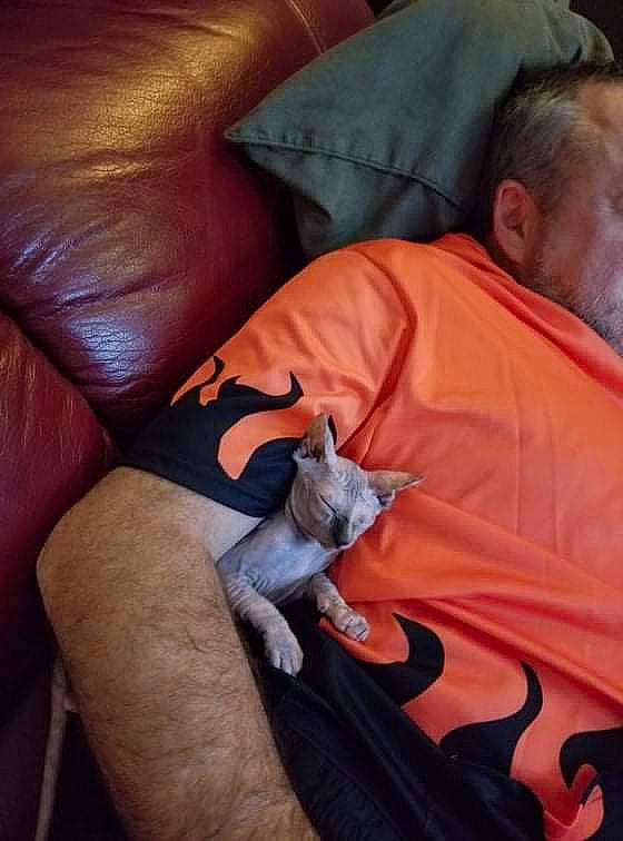 Isis participe au concours pour gagner de l'argent avec cette photo : claw, comfort, elbow, felidae, flesh, human_leg, knee, lap, linens, nail, sleeve, small_to_medium_sized_cats, t_shirt, tattoo, tattoo_artist, temporary_tattoo, thigh, thumb, whiskers, wrist