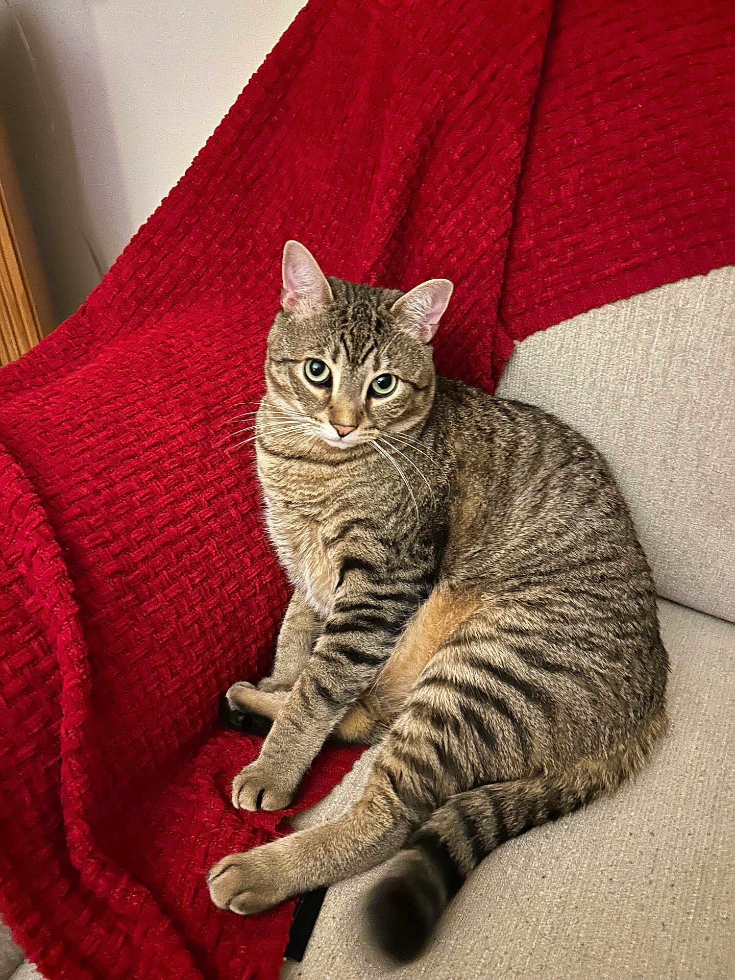 Frankie