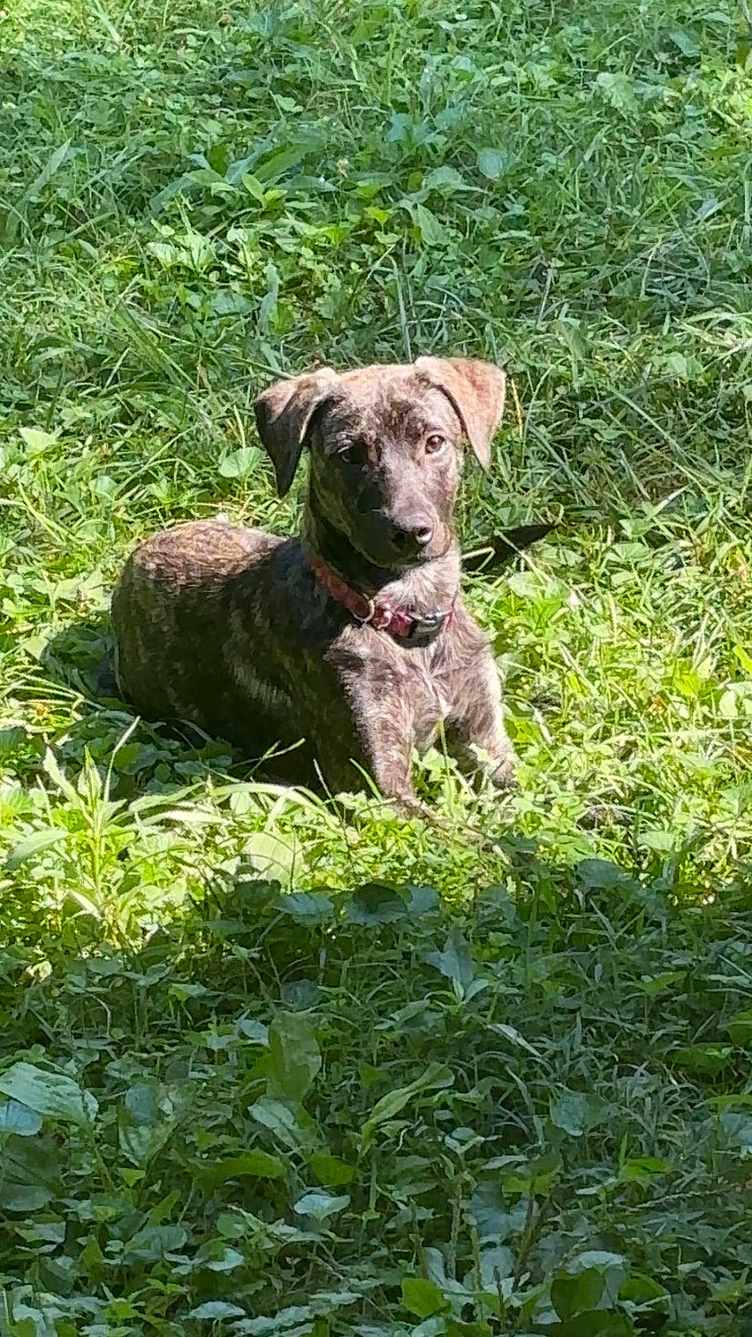 Luna