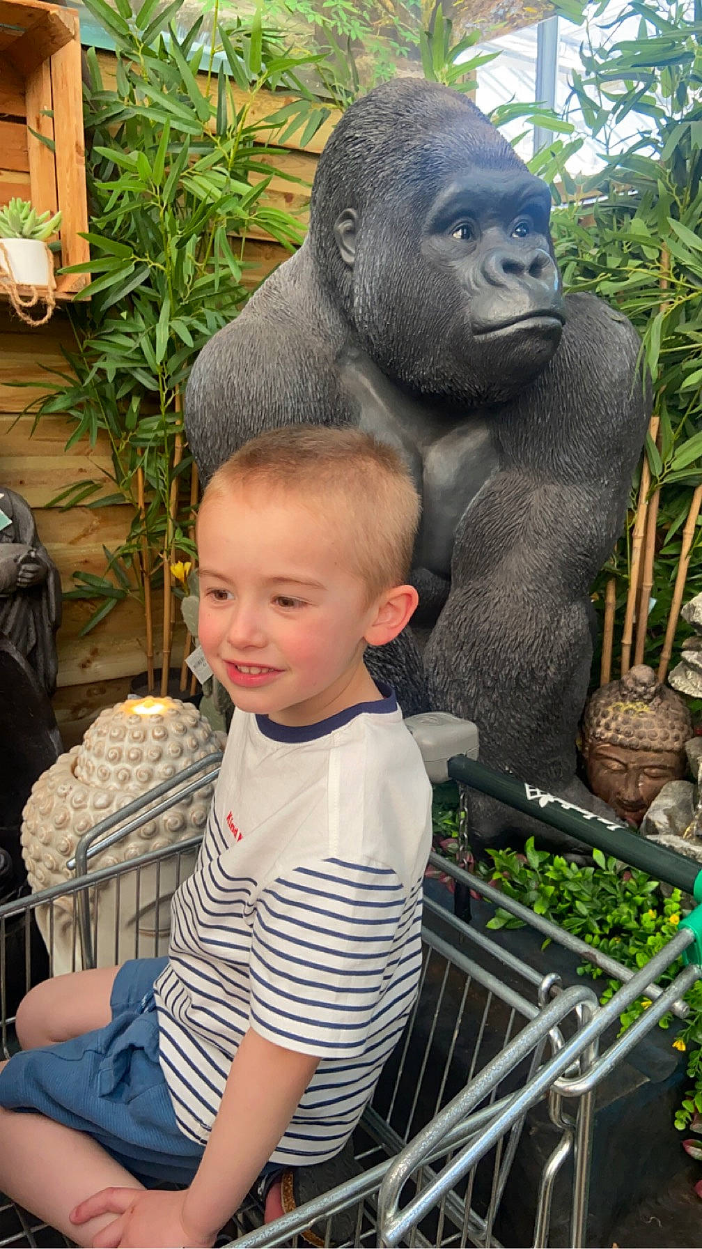 Maëron a rejoint le concours — aidez-le/la à gagner de superbes lots ! art, child, grass, green, happy, joy, lawn_ornament, leisure, luggage_and_bags, organ, people, person, photograph, plant, sculpture, sitting, smile, snapshot, statue, t_shirt