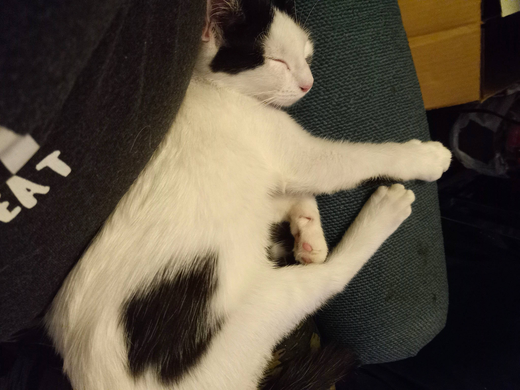 Rosie