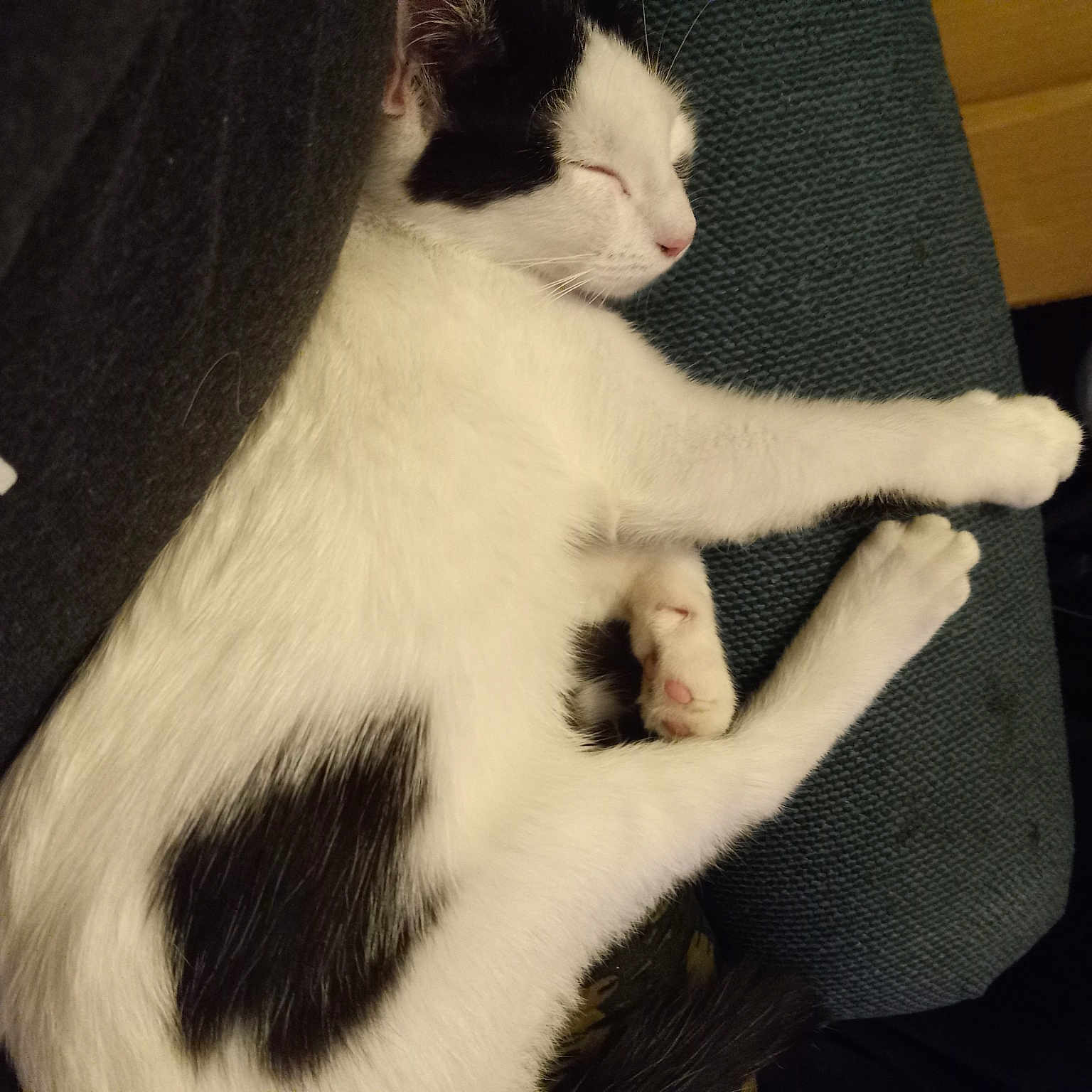 Rosie