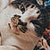 Kitty