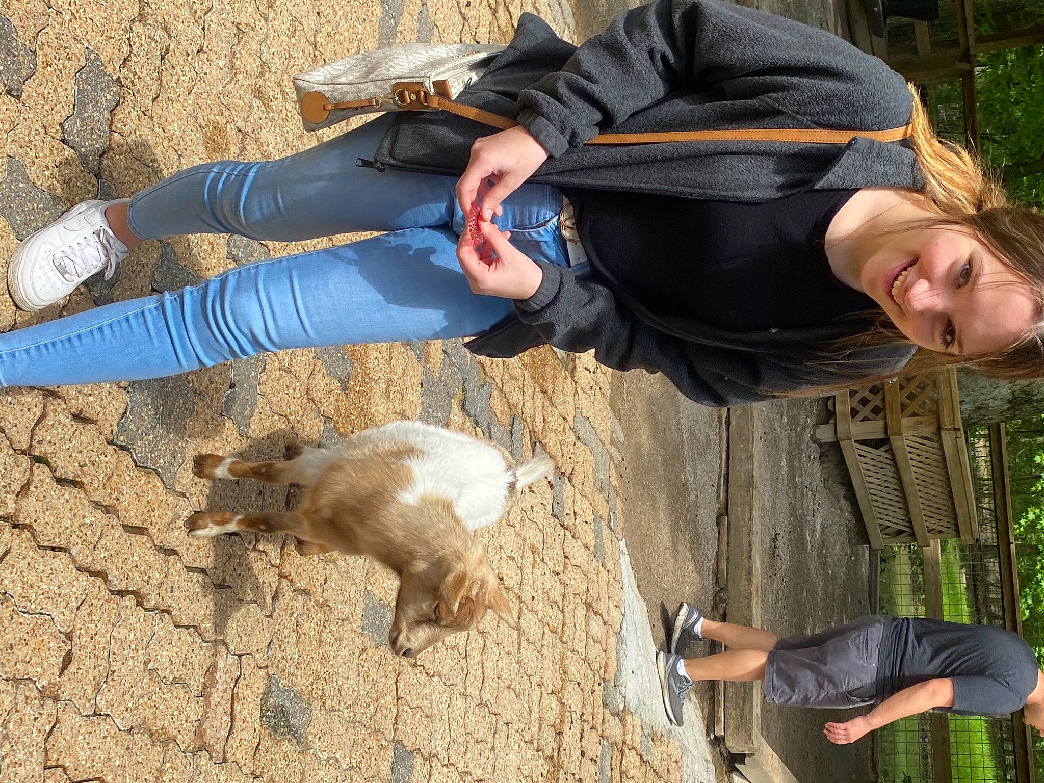 Micah is registered to the contest to win money with this photo: carnivore, clothing, companion_dog, dog_breed, electric_blue, fawn, fun, fur, goats, grass, hat, joy, people_in_nature, person, plant, recreation, shoe, smile, sneakers, soil