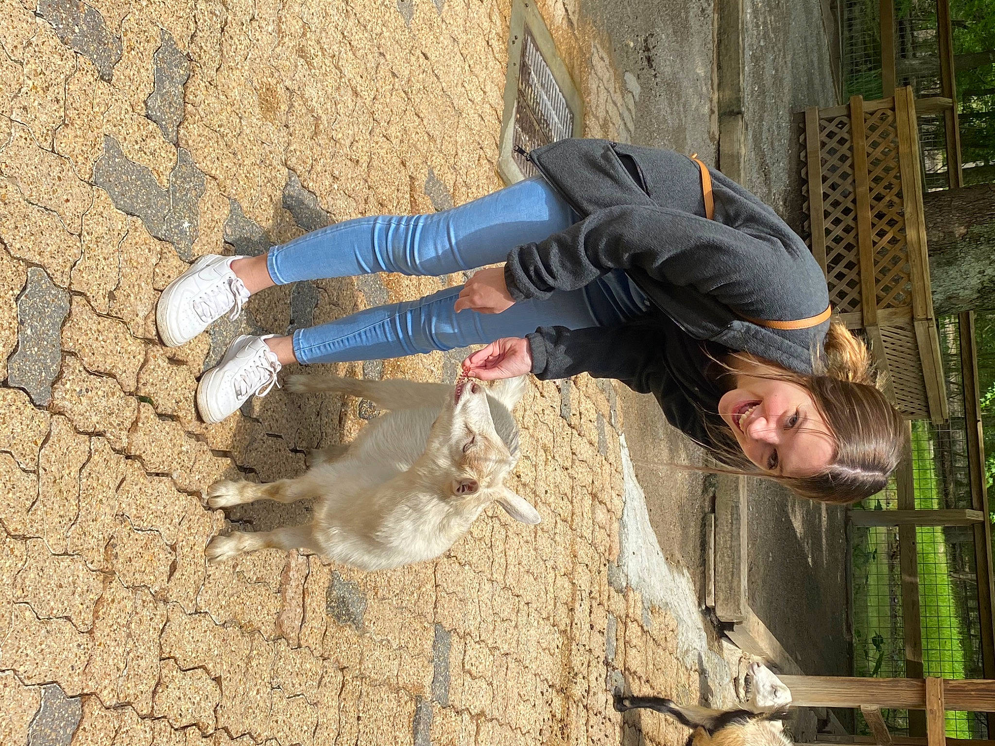 Micah joined the competition — help win amazing prizes! boot, canidae, concrete, denim, foot, fun, fur, human_leg, joy, outdoor_shoe, pedestrian, people_in_nature, person, road_surface, shadow, soil, sporting_group, street_fashion, tree, walking_shoe