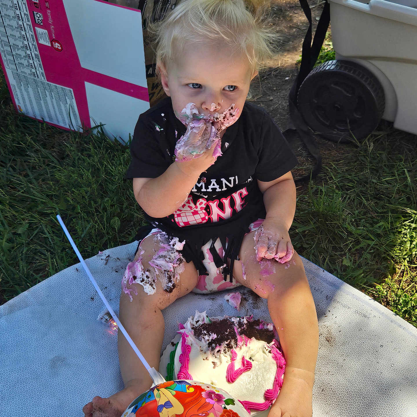 Breanna is registered to the contest to win money with this photo: baby, birthdaycake, cake, clothing, cream, dessert, face, food, grass, head, icecream, icing, machine, person, photography, plant, portrait, summer, t_shirt, wheel
