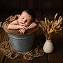 baby, brown_cloth, bucket, closeup, cozy, decor, dried_grasses, face, hands, indoors, infant, newborn, peaceful, portrait, resting, sleeping, soft_lighting, still_life, vase, wooden_floor