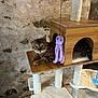 cat, tabby_cat, cat_tree, plush_toy, indoor, wood, stone_wall, pet, feline, curious, relaxed, animal, playful, toy, household, fur, ears, whiskers, paws, flooring