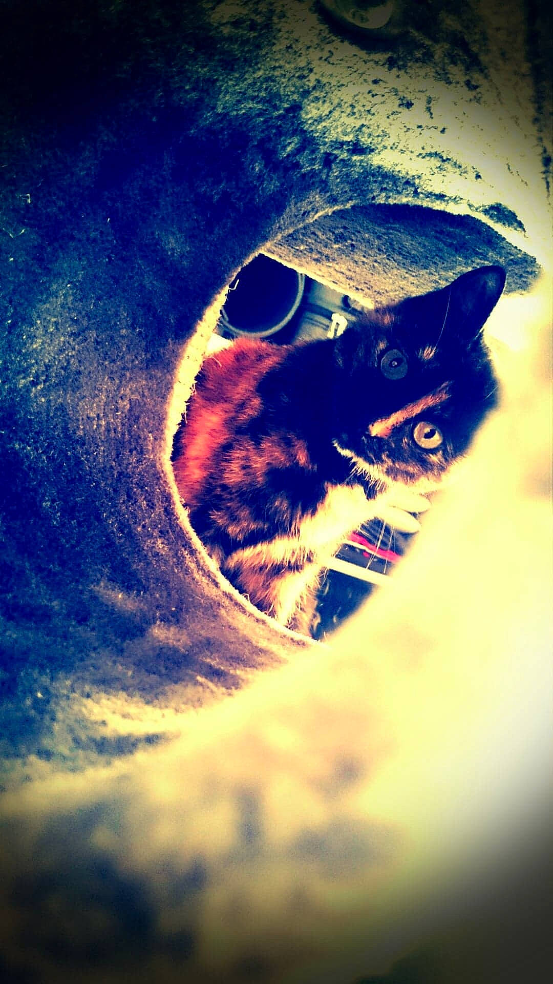 Milka a rejoint le concours — aidez-le/la à gagner de superbes lots ! atmosphere, blue, close_up, cloud, computer_wallpaper, macro_photography, person, photography, reflection, sky, space, stock_photography, water