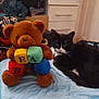 cat, teddy_bear, plush, toy, alphabet_blocks, black_and_white_cat, blanket, indoor, furniture, drawer, door, soft_toy, resting, pet, animal, cozy, room, fabric, cute, relaxed