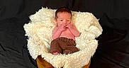 Wesley joined the competition — help win amazing prizes! animal, baby, basket, bed, blanket, canine, cradle, crib, face, furniture, head, indoors, infantbed, newborn, person, photography, portrait, sleeping, tape, text