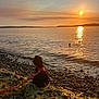 Olive is registered to the contest to win money with this photo: sunset, beach, sea, water, dog, puppy, leash, harness, pebbles, shoreline, reflection, sun, horizon, nature, outdoors, sitting, silhouette, evening, calm, waves