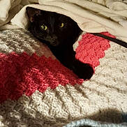 Momo joined the competition — help win amazing prizes! black_cat, cat, blanket, crocheted_blanket, red, white, cream_blanket, indoor, pet, cozy, resting, fur, animal, green_eyes, lying_down, cute, soft_texture, warm, hidden, comfort