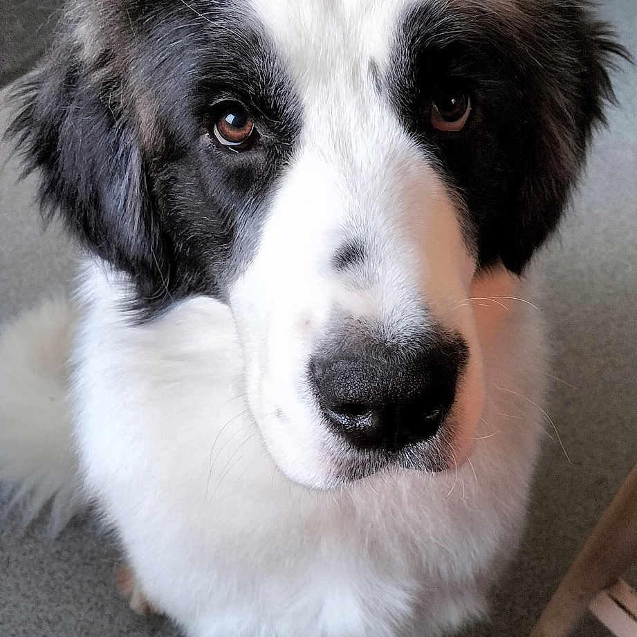 Winnie