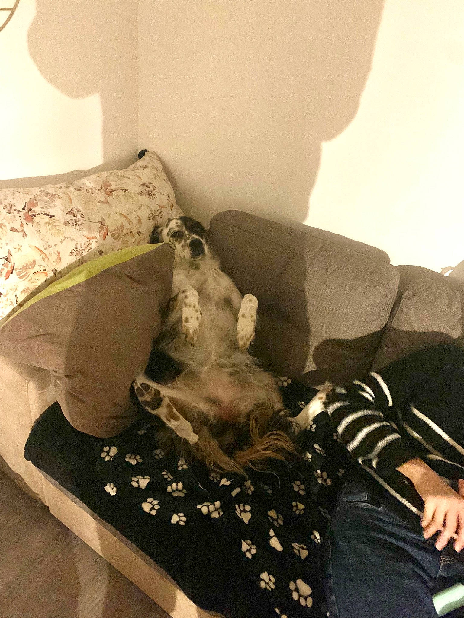 Laya a rejoint le concours — aidez-le/la à gagner de superbes lots ! bedding, bedroom, black, comfort, couch, elbow, fashion_accessory, flooring, human_leg, knee, linens, living_room, pattern, pillow, room, sitting, textile, thigh, tints_and_shades, wrist