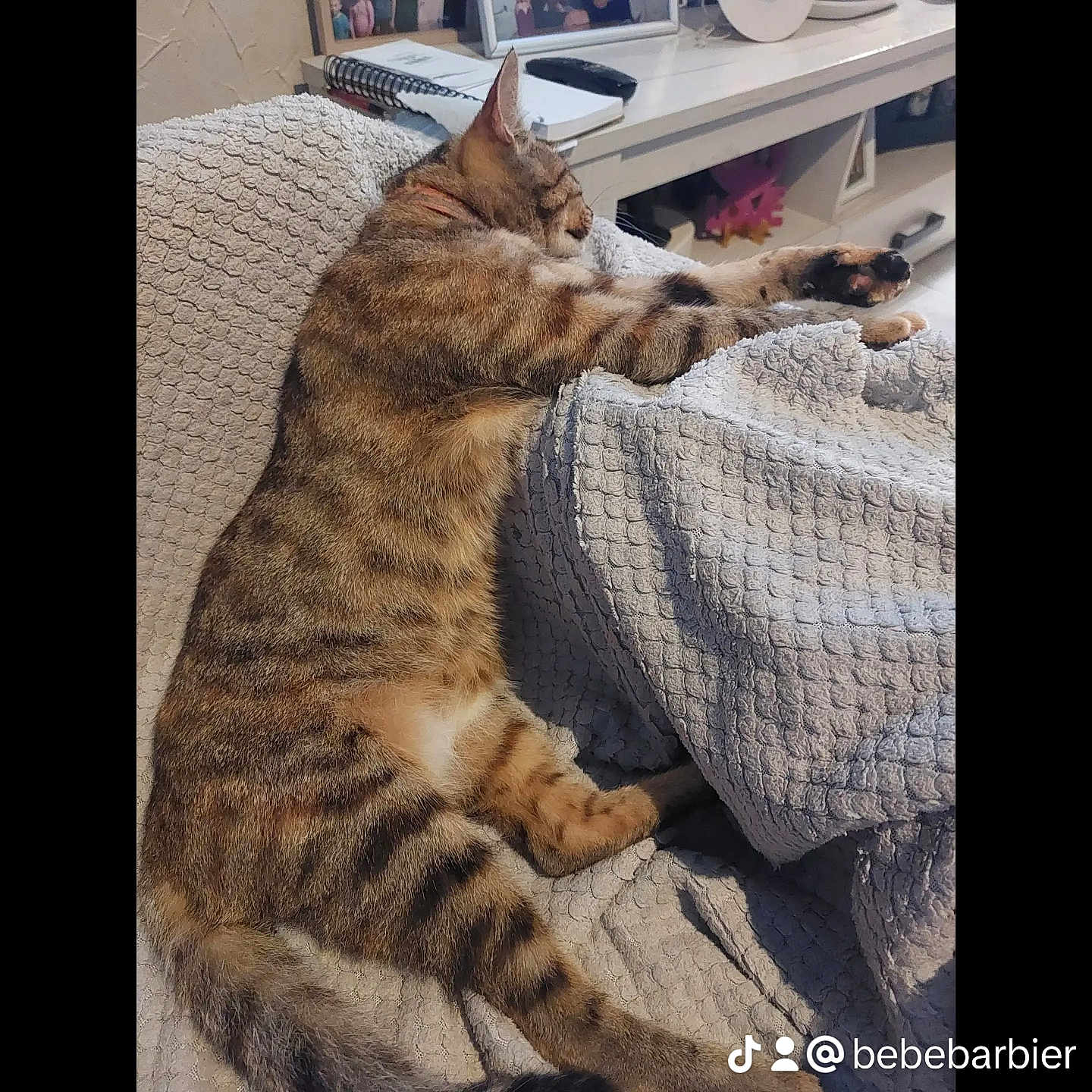 Mimi