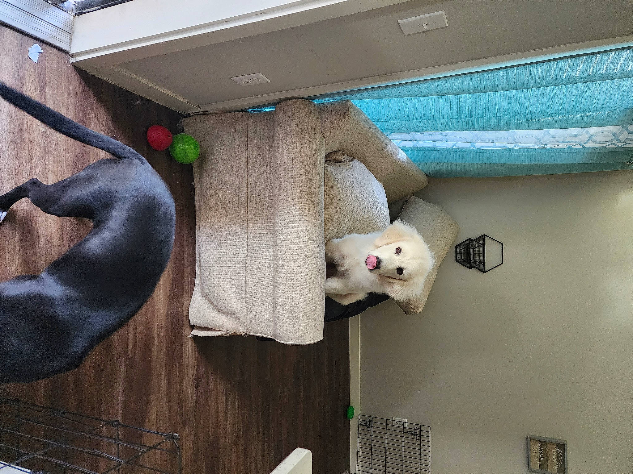 Dagger is registered to the contest to win money with this photo: building, ceiling, machine, room, stuffed_toy, toy, wood