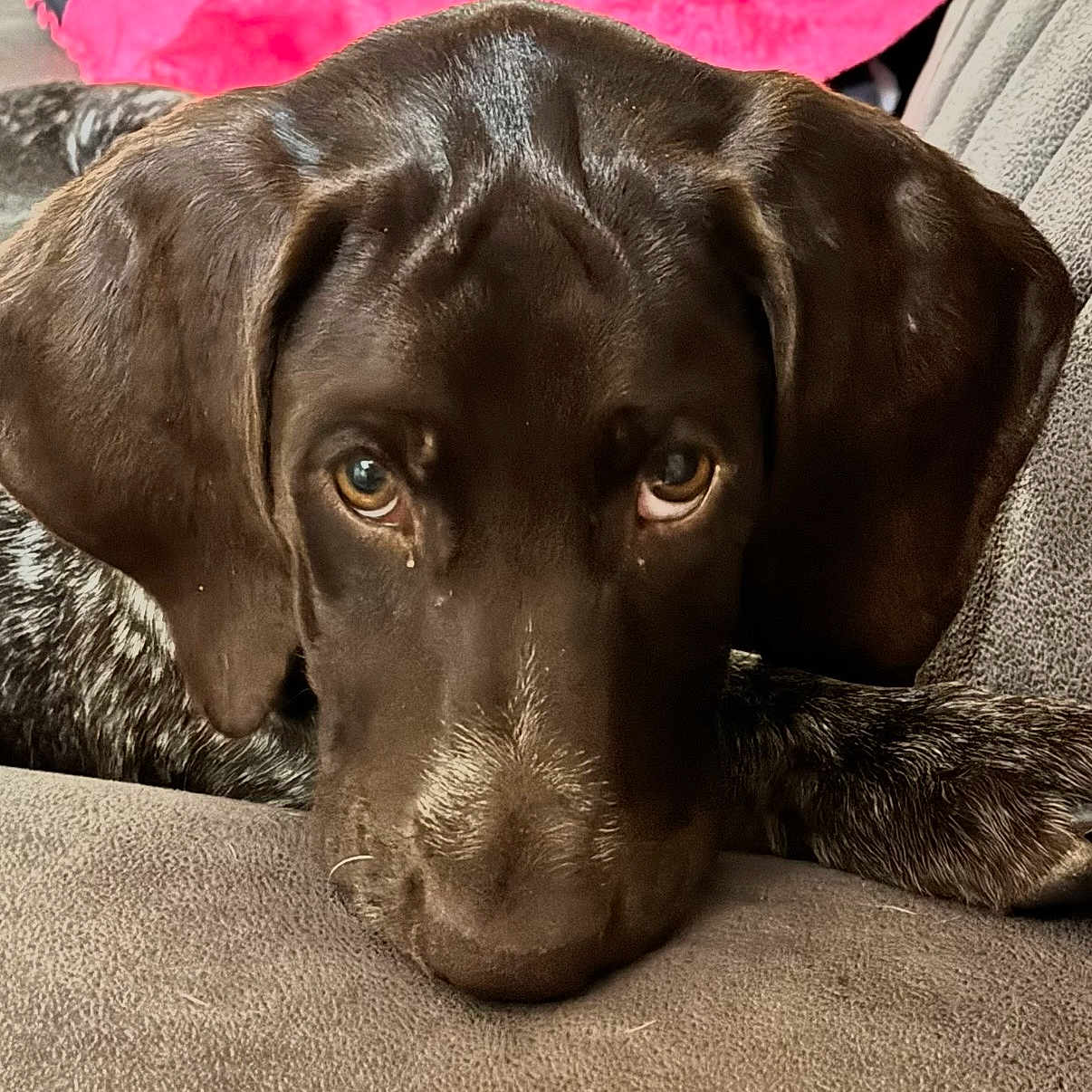 Ruby Sue