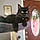 Binx