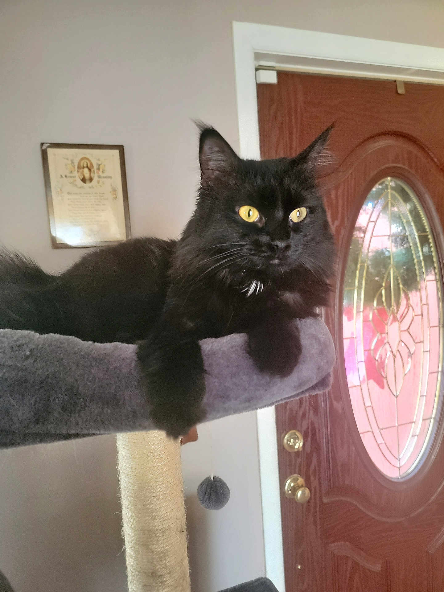 Binx