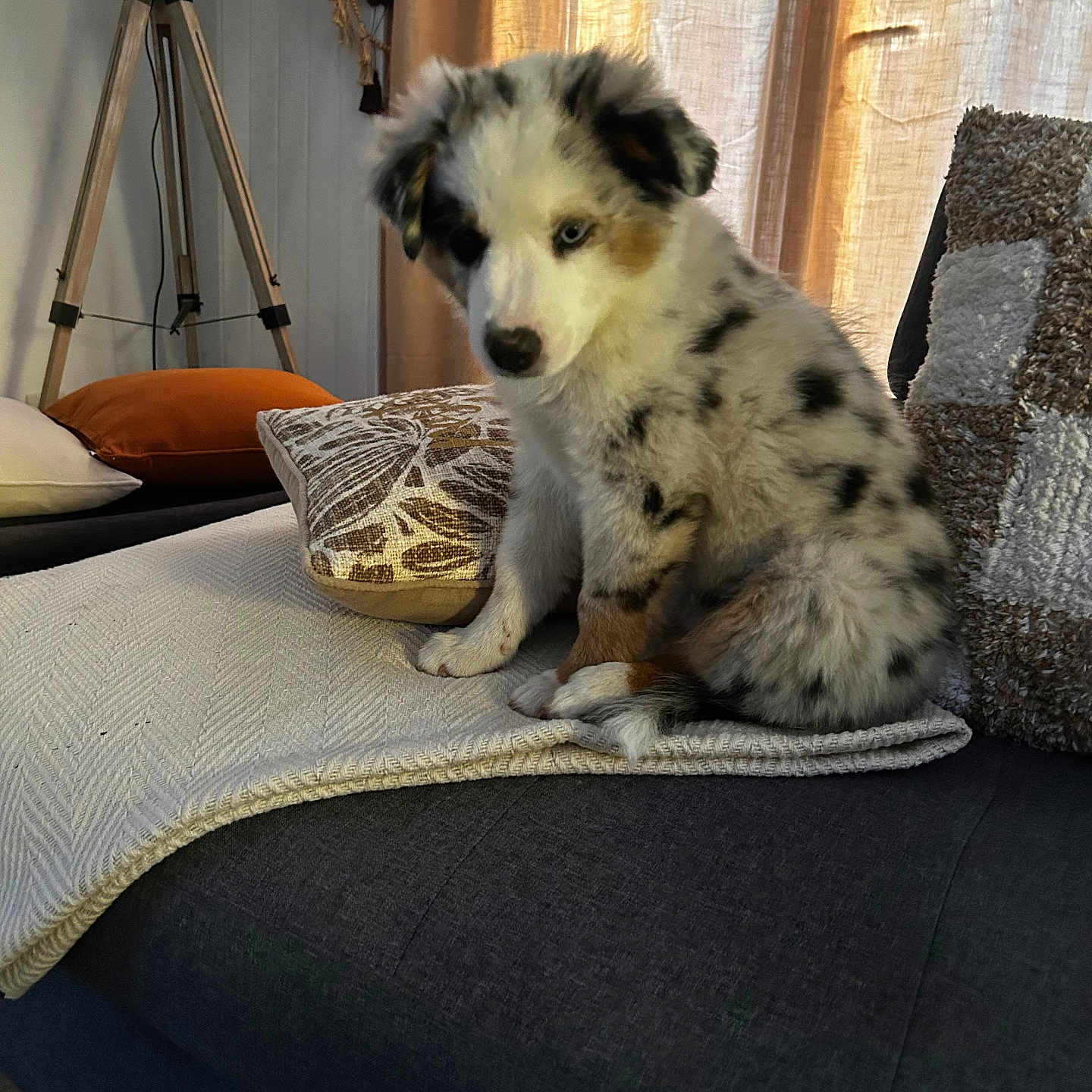 Baïko