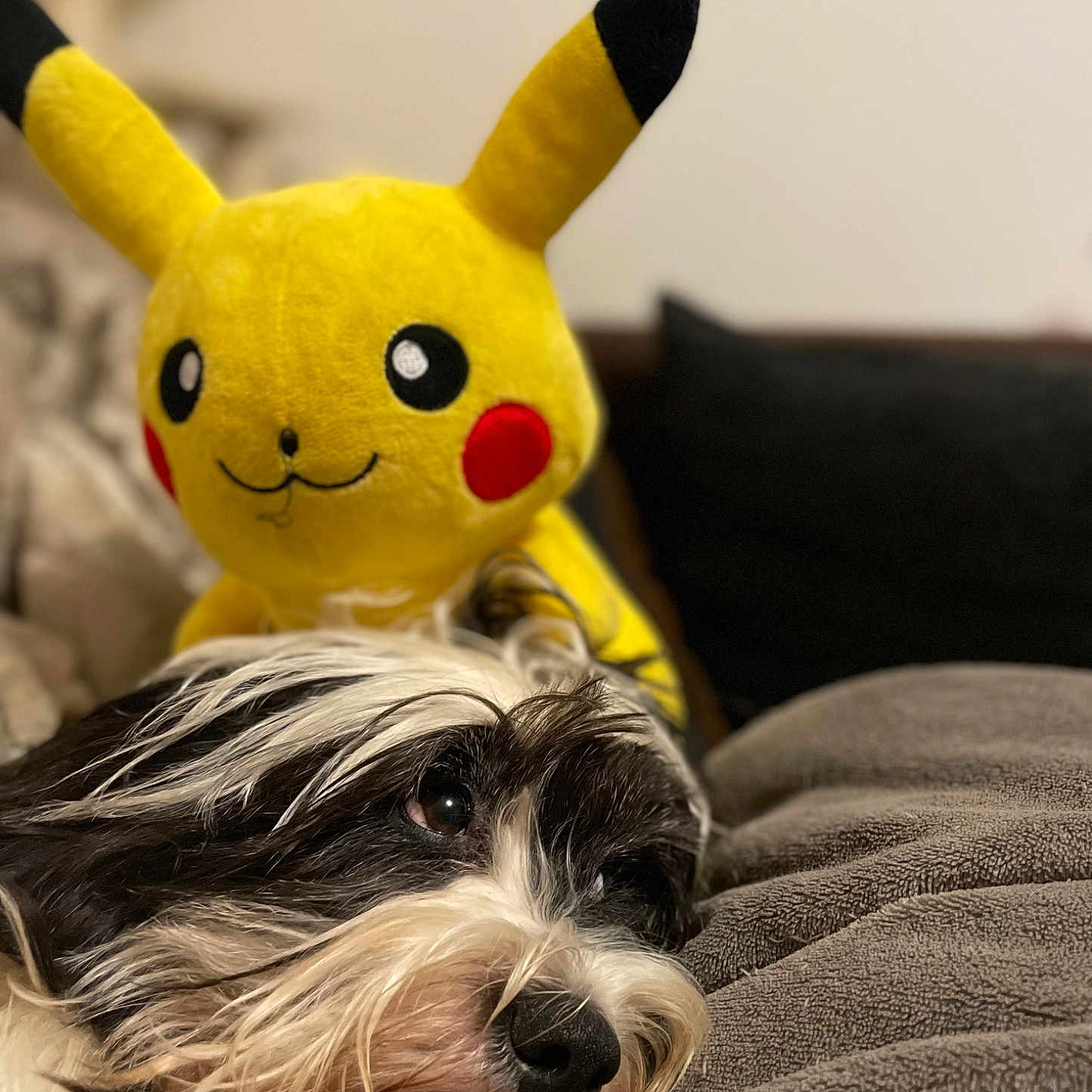 Ted