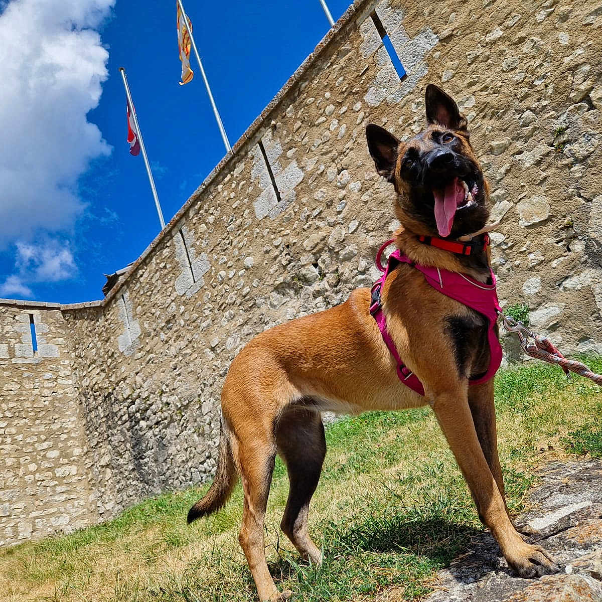 Victoire