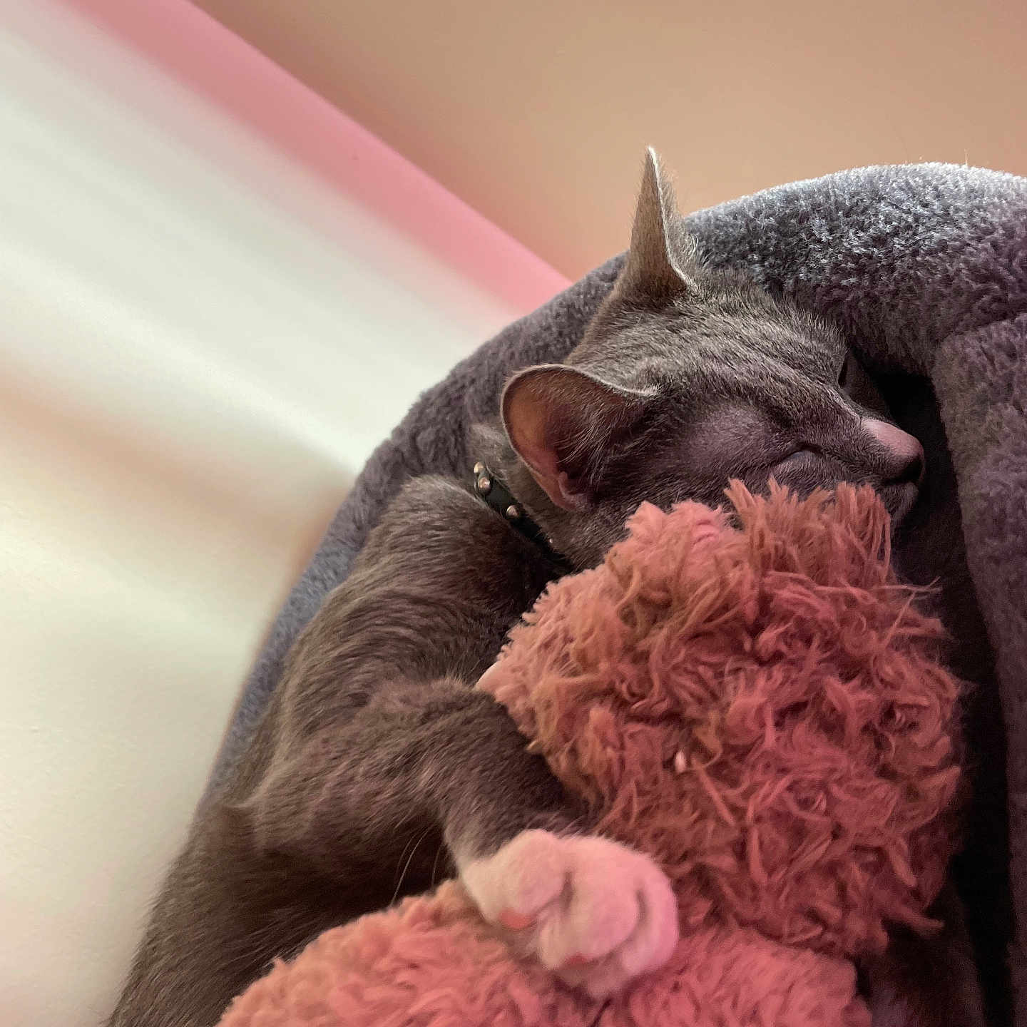 Nilo