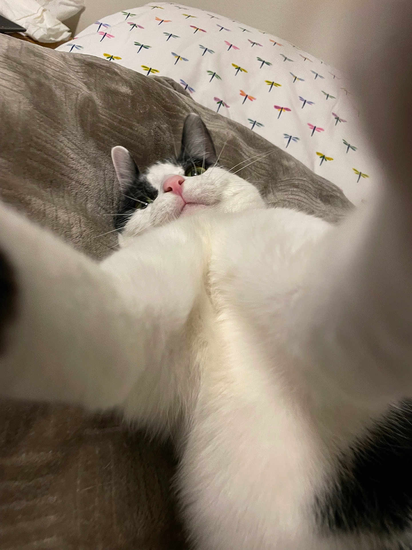 Artemis