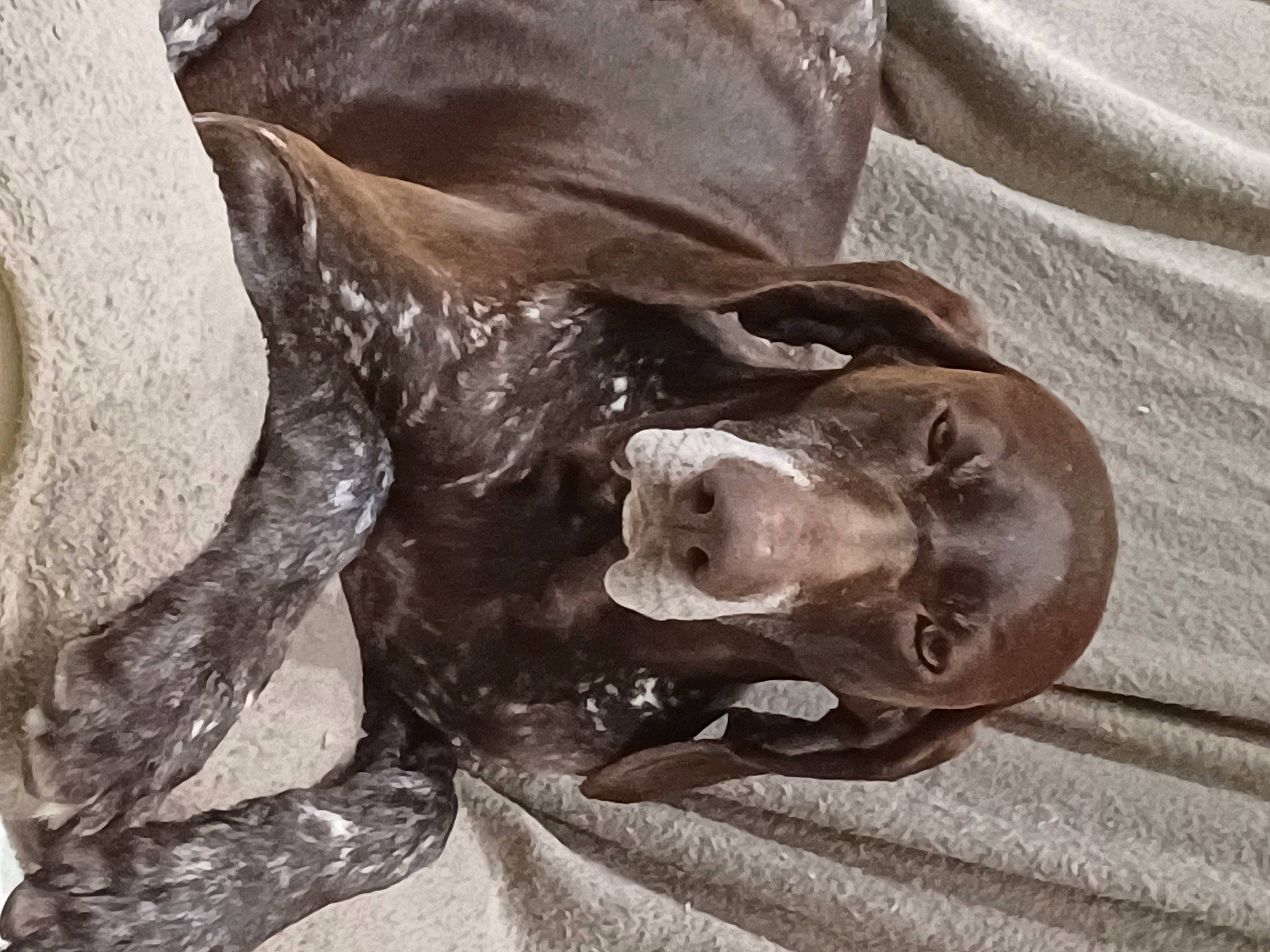 Oural participe au concours pour gagner de l'argent avec cette photo : art, bronze, gesture, grey, linens, metal, pattern, plant, rock, sculpture, statue, still_life_photography, tree, trunk, visual_arts, wood