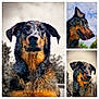 dog, portrait, animal, outdoor, fur, pet, canine, nature, closeup, ears, tongue, expression, background, collage, three_images, photography, muzzle, face, looking_away, brown_black