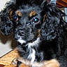 Holly participe au concours pour gagner de l'argent avec cette photo :