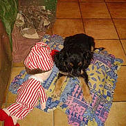 Holly participe au concours pour gagner de l'argent avec cette photo :