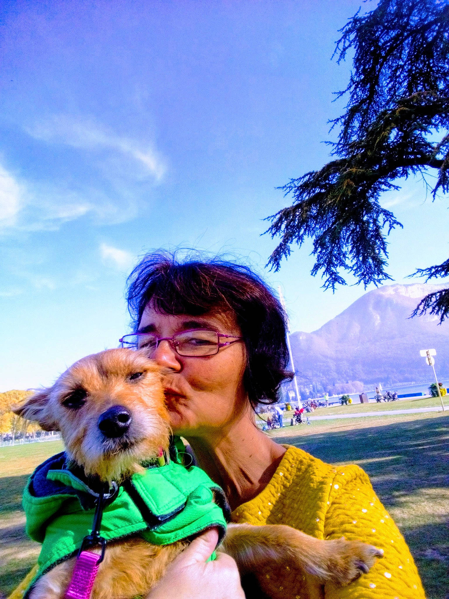 Roxinounou participe au concours pour gagner de l'argent avec cette photo : blue, carnivore, cloud, dog, dog_breed, dog_supply, eyewear, glasses, green, happy, mammal, people_in_nature, plant, sky, smile, sunglasses, travel, tree, vertebrate, vision_care