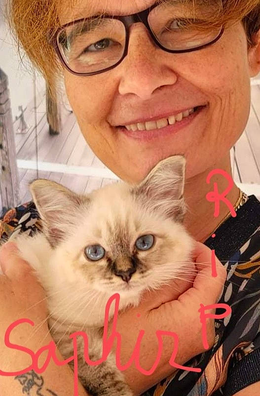 Saphir a rejoint le concours — aidez-le/la à gagner de superbes lots ! birman, box, carnivore, cat, event, eyewear, fawn, felidae, fur, glasses, happy, iris, organ, plant, ragdoll, small_to_medium_sized_cats, smile, snout, vision_care, whiskers