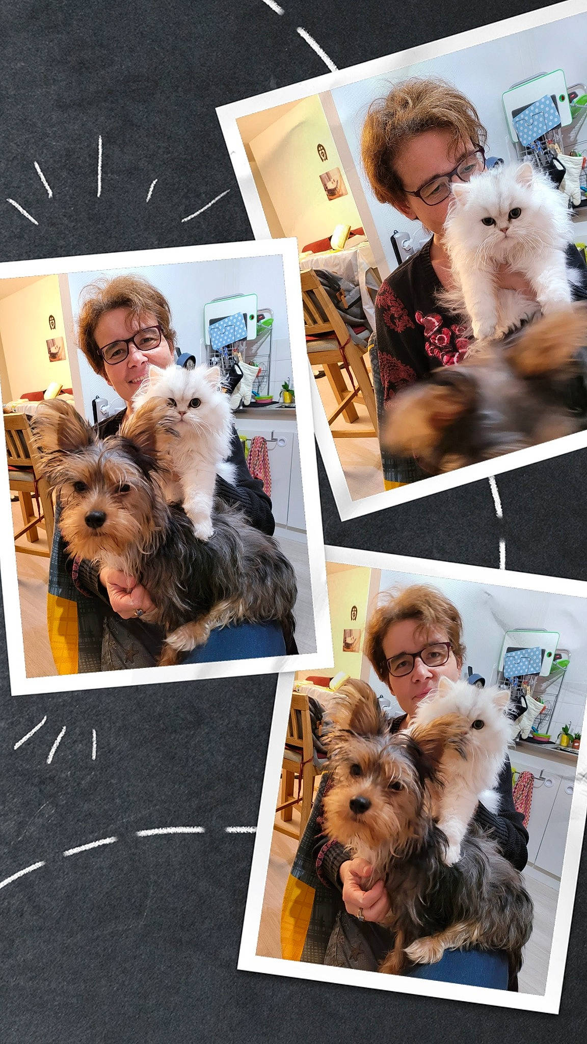 Flocon a rejoint le concours — aidez-le/la à gagner de superbes lots ! art, canidae, carnivore, collage, companion_dog, dog, dog_breed, fawn, fur, german_spitz, hairstyle, mammal, photograph, selfie, snapshot, sporting_group, terrier, toy_dog, vertebrate, working_animal