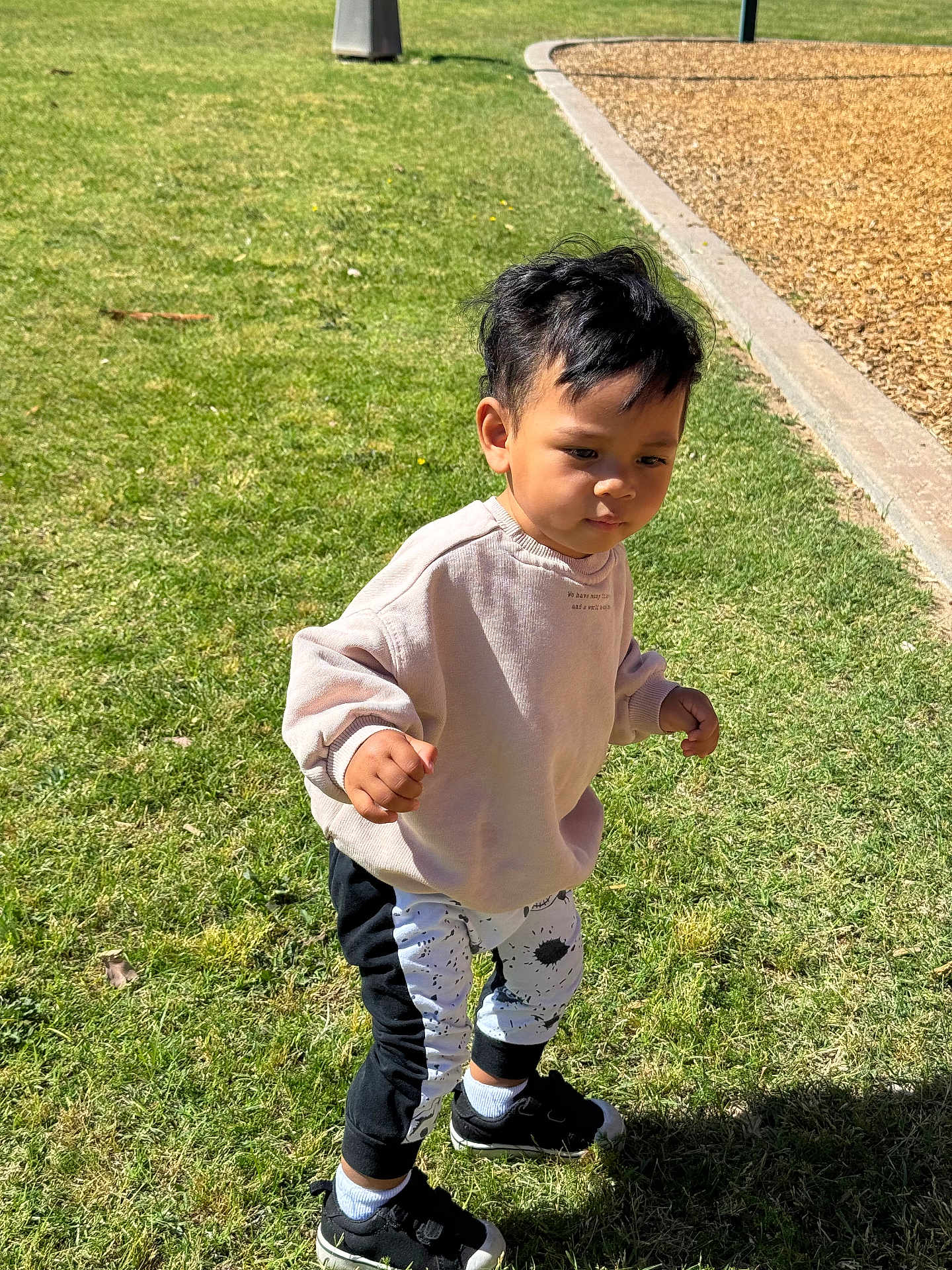 Keith joined the competition — help win amazing prizes! child, toddler, park, grass, sunlight, sweatshirt, pants, shoes, walking, outdoor, daytime, cute, young_child, person, casual_clothing, black_hair, socks, sidewalk, shadow, nature